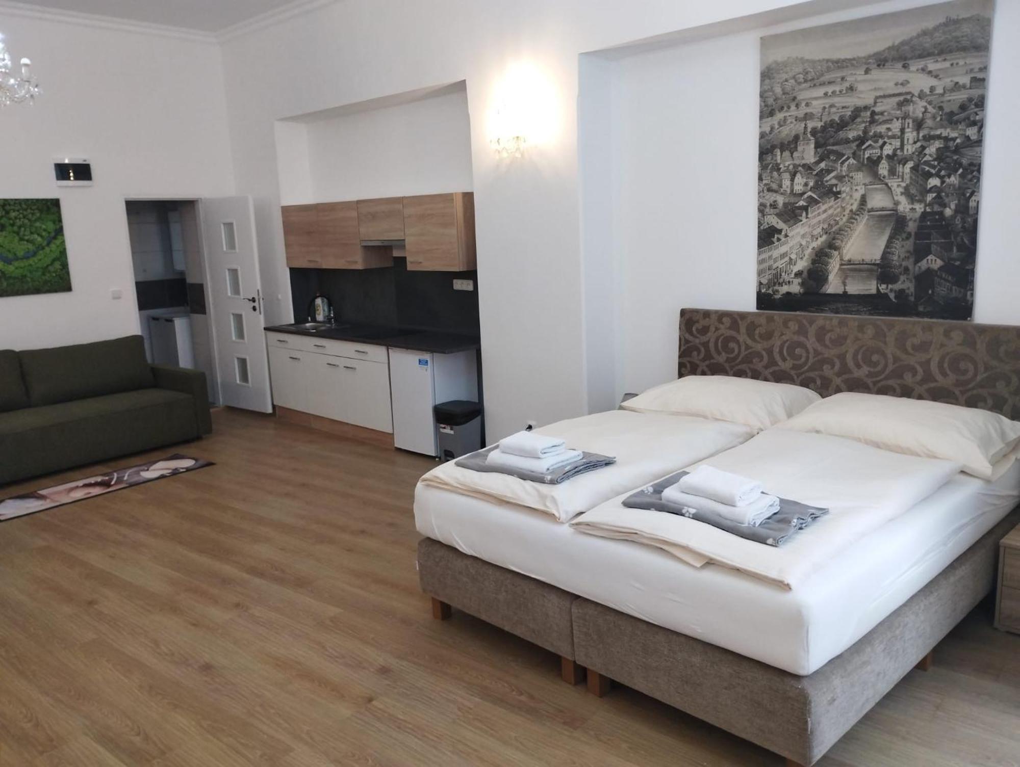 Apartments Paderewski Karlovy Vary Extérieur photo