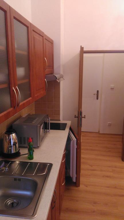 Apartments Paderewski Karlovy Vary Extérieur photo